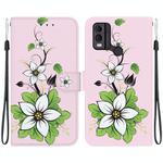 For Nokia C22 Crystal Texture Colored Drawing Leather Phone Case(Lily)