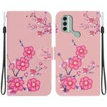 For Nokia C31 Crystal Texture Colored Drawing Leather Phone Case(Cherry Blossoms)