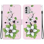 For Nokia G60 Crystal Texture Colored Drawing Leather Phone Case(Lily)
