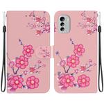 For Nokia G60 Crystal Texture Colored Drawing Leather Phone Case(Cherry Blossoms)