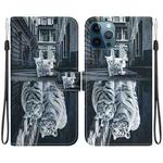 For iPhone 12 Pro Max Crystal Texture Colored Drawing Leather Phone Case(Cat Tiger Reflection)