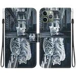 For iPhone 11 Pro Max Crystal Texture Colored Drawing Leather Phone Case(Cat Tiger Reflection)
