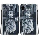 For iPhone XS / X Crystal Texture Colored Drawing Leather Phone Case(Cat Tiger Reflection)