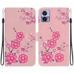 For Motorola Edge 30 Neo / 30 Lite Crystal Texture Colored Drawing Leather Phone Case(Cherry Blossoms)