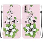 For Motorola Moto E20 / E30 / E40 Crystal Texture Colored Drawing Leather Phone Case(Lily)