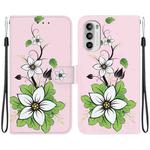 For Motorola Moto G52 Crystal Texture Colored Drawing Leather Phone Case(Lily)