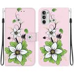 For Motorola Moto G52j JP Crystal Texture Colored Drawing Leather Phone Case(Lily)