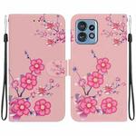 For Motorola Edge 40 Pro Crystal Texture Colored Drawing Leather Phone Case(Cherry Blossoms)