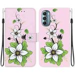 For Motorola Moto G Stylus 5G 2022 Crystal Texture Colored Drawing Leather Phone Case(Lily)