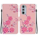 For Motorola Edge+ 2022 Crystal Texture Colored Drawing Leather Phone Case(Cherry Blossoms)