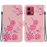 For Motorola Moto G84 Crystal Texture Colored Drawing Leather Phone Case(Cherry Blossoms)