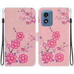 For Motorola Moto G Play 4G 2024 Crystal Texture Colored Drawing Leather Phone Case(Cherry Blossoms)