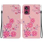 For Motorola Edge 50 Fusion Crystal Texture Colored Drawing Leather Phone Case(Cherry Blossoms)