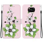 For Xiaomi Poco X3 NFC / X3 Crystal Texture Colored Drawing Leather Phone Case(Lily)