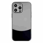 For iPhone 13 Pro Max Shockproof Frosted PC Silicone Frame Phone Case(Black)