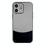 For iPhone 12 Shockproof Frosted PC Silicone Frame Phone Case(Black)