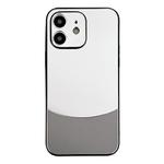 For iPhone 12 Shockproof Frosted PC Silicone Frame Phone Case(Silver)