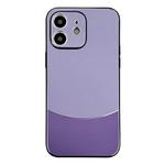 For iPhone 12 Shockproof Frosted PC Silicone Frame Phone Case(Purple)