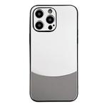 For iPhone 12 Pro Shockproof Frosted PC Silicone Frame Phone Case(Silver)