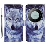 For Huawei Mate 60 Painted Pattern Horizontal Flip Leather Phone Case(White Wolf)
