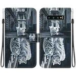 For Samsung Galaxy S10+ Crystal Texture Colored Drawing Leather Phone Case(Cat Tiger Reflection)