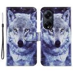 For OPPO A98 Painted Pattern Horizontal Flip Leather Phone Case(White Wolf)