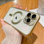 For iPhone 12 Pro MagSafe Magnetic Frosted TPU Phone Case(Gold)