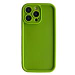 For iPhone 13 Pro Fine Hole Shockproof Frame Frosted TPU Phone Case(Green)