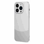 For iPhone 15 Pro Max Two Color Frosted Shockproof Phone Case(Silver)