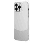 For iPhone 12 Pro Max Two Color Frosted Shockproof Phone Case(Silver)