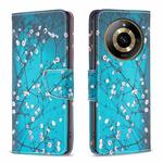 For  Realme 11 4G Colored Drawing Pattern Leather Phone Case(Plum Blossom)