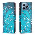 For Realme C61 / C63 Colored Drawing Pattern Leather Phone Case(Plum Blossom)