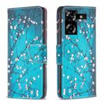 For Tecno Pova 5 Colored Drawing Pattern Leather Phone Case(Plum Blossom)