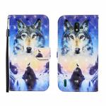 For Nokia 1.3 3D Painted Pattern Horizontal Flip Leather Case with Holder & Wallet & Card slot & Lanyard(Sunrise Wolf)
