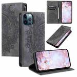 For iPhone 12 Pro Max Totem Embossed Magnetic Leather Phone Case(Grey)