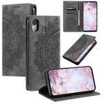 For iPhone XR Totem Embossed Magnetic Leather Phone Case(Grey)