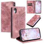 For iPhone XR Totem Embossed Magnetic Leather Phone Case(Rose Gold)