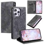 For iPhone 16 Pro Totem Embossed Magnetic Leather Phone Case(Grey)