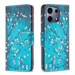 For Infinix Note 30 VIP Colored Drawing Pattern Leather Phone Case(Plum Blossom)