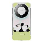 For Huawei Mate 60 Pro/60 Pro+ Frameless Panda Series TPU Phone Case(Sleeping Panda)