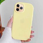 For iPhone 11 Pro Max Frosted Soap Shape TPU Phone Case(Yellow)