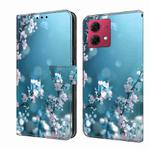 For Motorola Moto G84 Crystal 3D Shockproof Protective Leather Phone Case(Plum Flower)