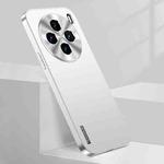 For vivo X100 Pro Streamer Series Micro Frosted Metal Paint PC Phone Case(Silver)
