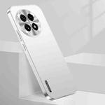 For OnePlus 13 Streamer Series Micro Frosted Metal Paint PC Phone Case(Silver)