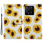 For Xiaomi 13T 5G Painted Pattern Horizontal Flip Leather Phone Case(Sunflower)