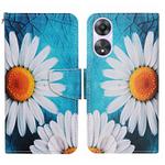 For OPPO A78 4G Colored Drawing Pattern Leather Phone Case(Chrysanthemum)