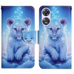 For OPPO A78 4G Colored Drawing Pattern Leather Phone Case(Little Leopard)