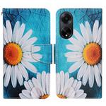 For OPPO A98 Colored Drawing Pattern Leather Phone Case(Chrysanthemum)