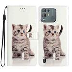 For Blackview A55 Pro Colored Drawing Leather Phone Case(Little Tabby Cat)