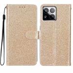 For Xiaomi 15 Pro Glitter Powder Flip Leather Phone Case(Gold)